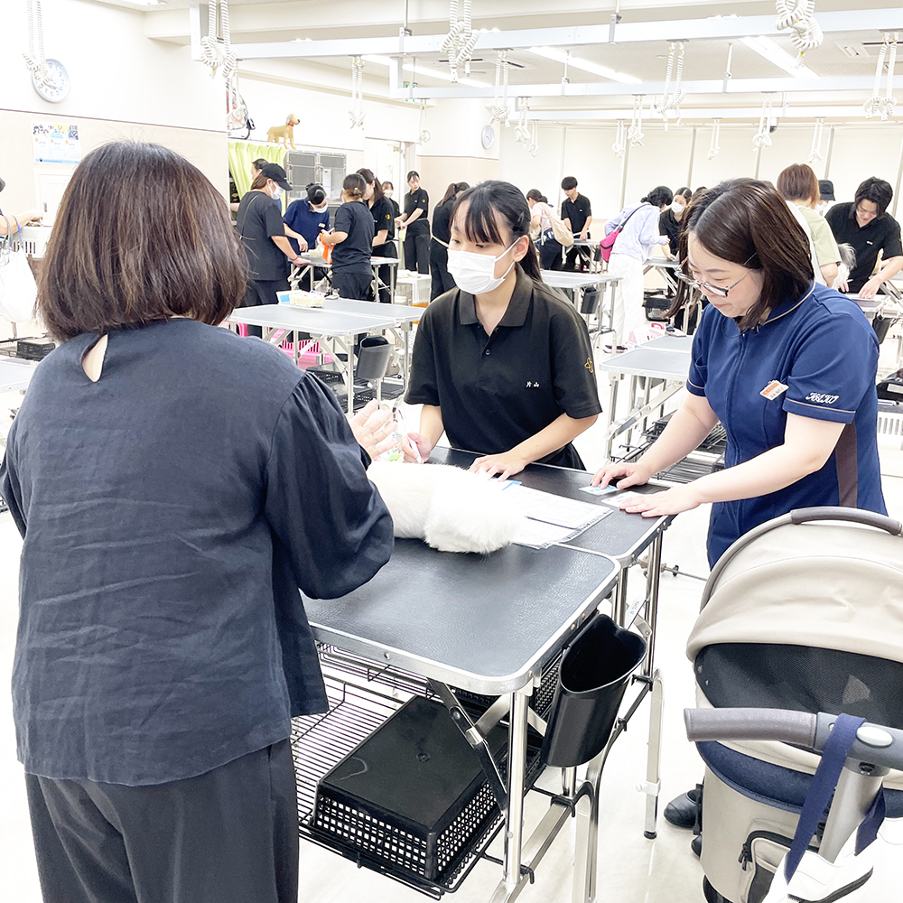 トリミングのお客様の接客実習♪